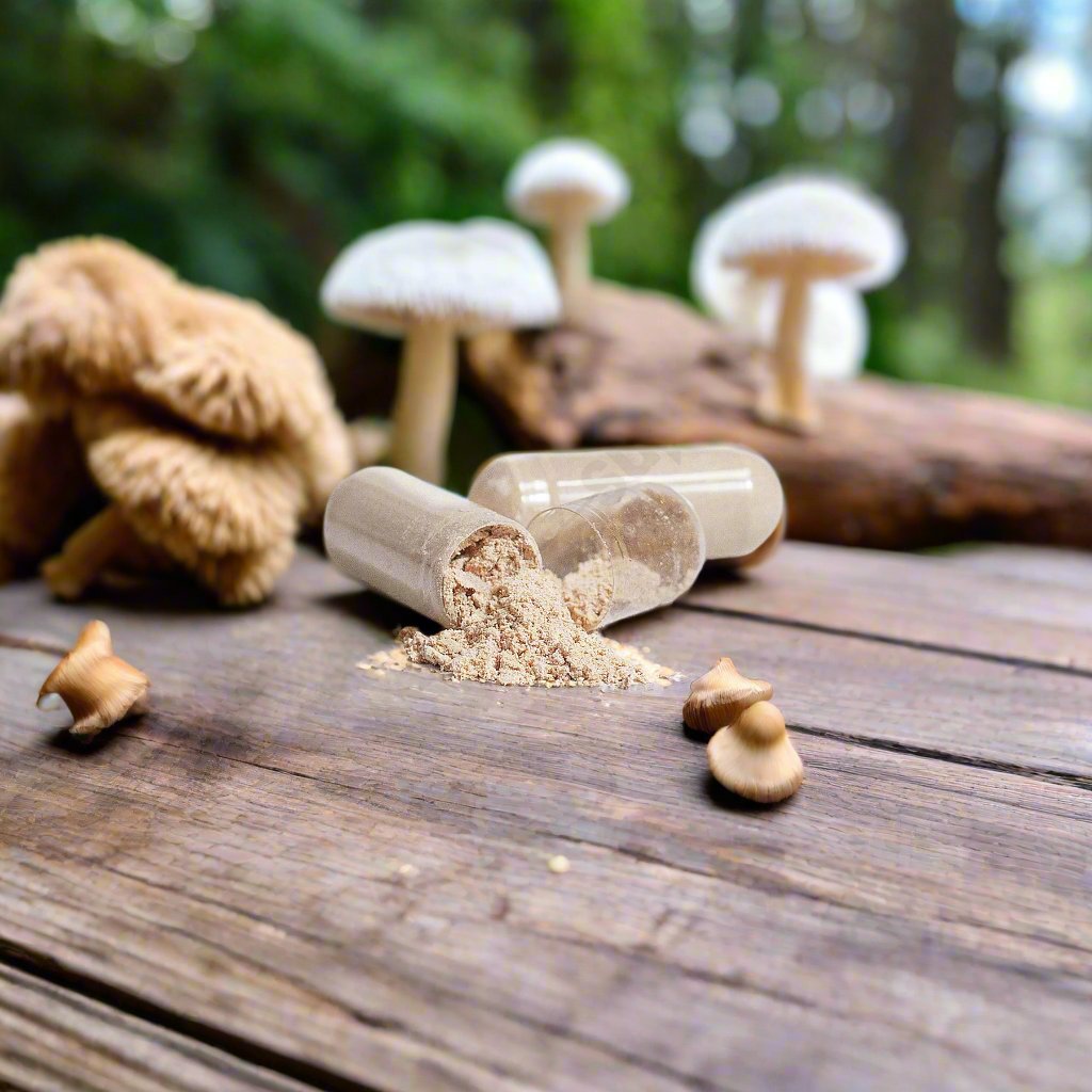 Lion's Mane Mushroom