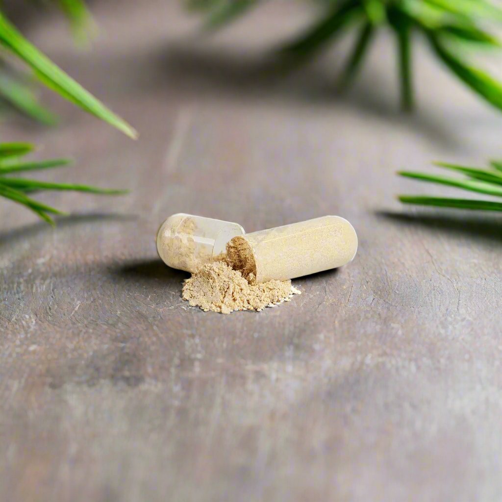 Ashwagandha Dietary Supplements